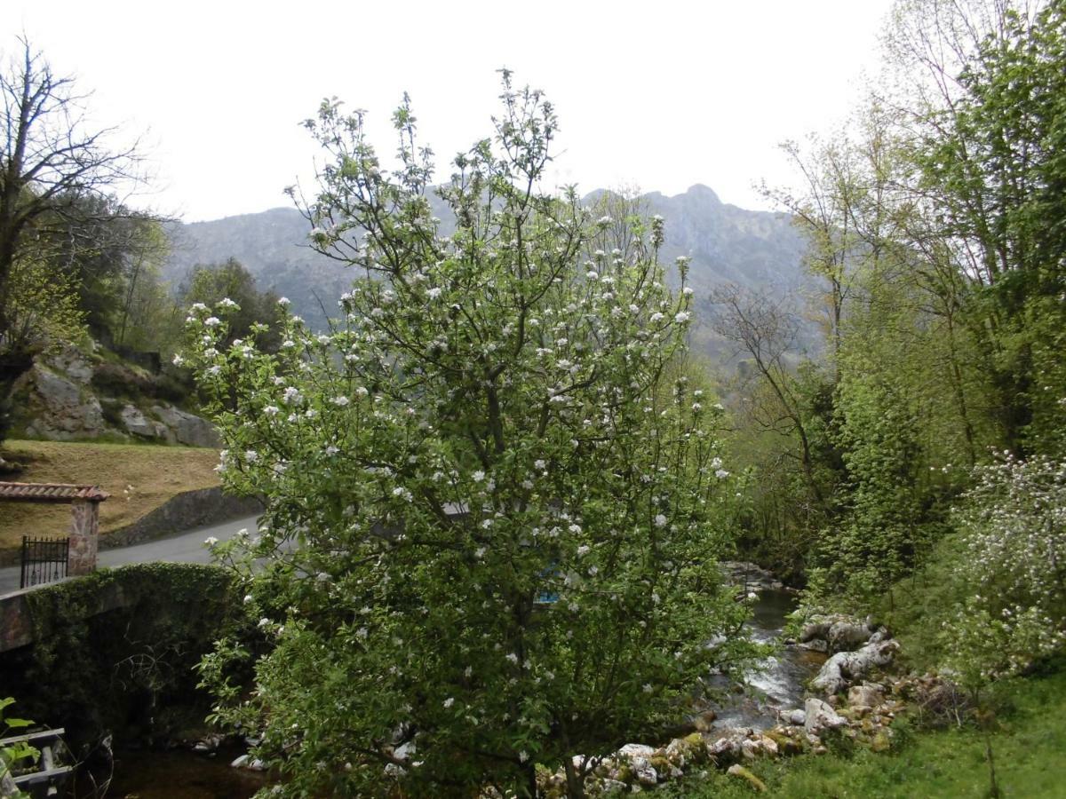 El Molino Hotell Arenas De Cabrales Exteriör bild