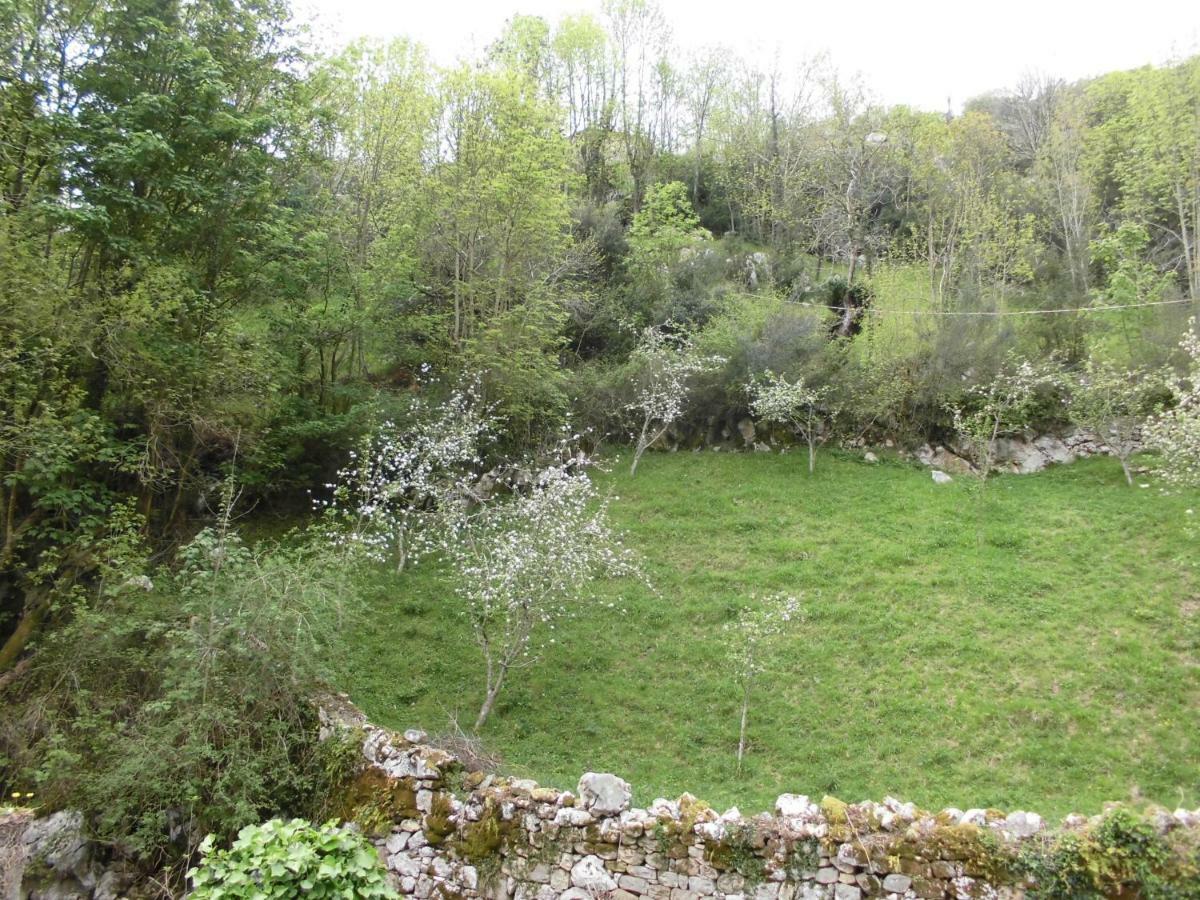 El Molino Hotell Arenas De Cabrales Exteriör bild